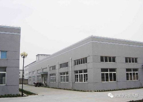 19岁败光1亿,却因为一条狗狂赚367亿,逆袭成台湾首富